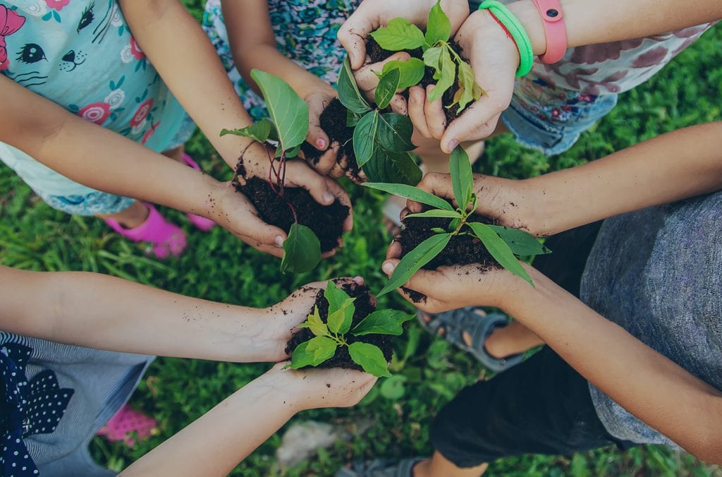 Sustainability Education: Creating a Better Future for our Planet